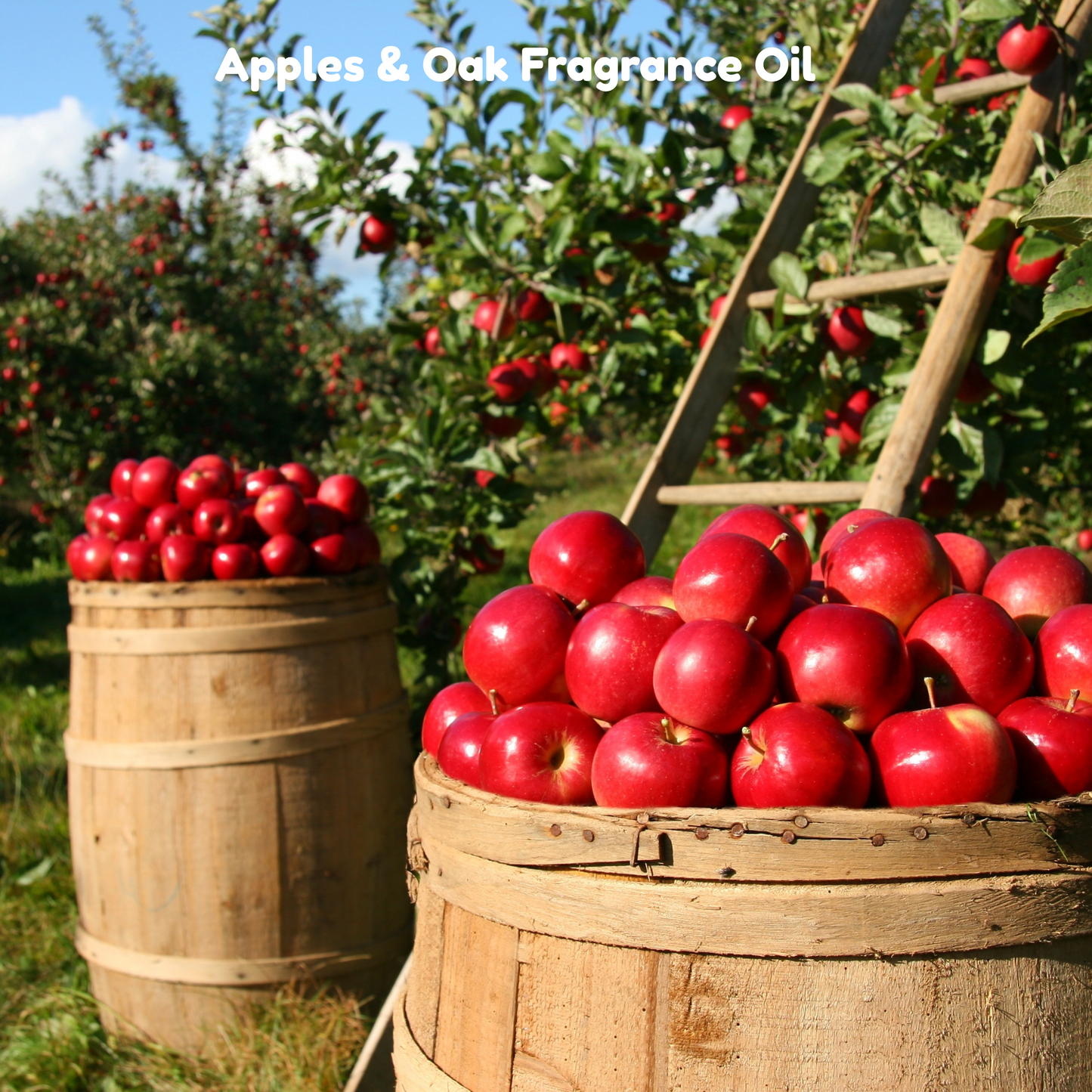 Apples & Oak Fragrance Oil