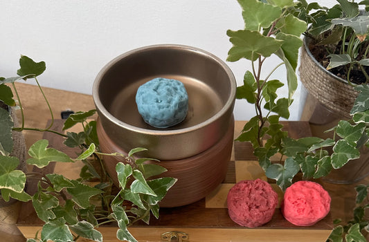 a potted plant next to a metal container with a blue ball in it