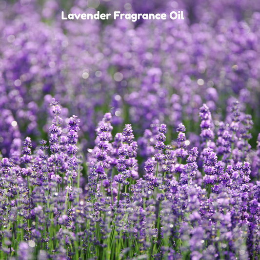 Lavender Fragrance Oil
