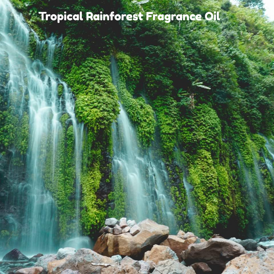 Tropical Rainforest Fragrance Oil
