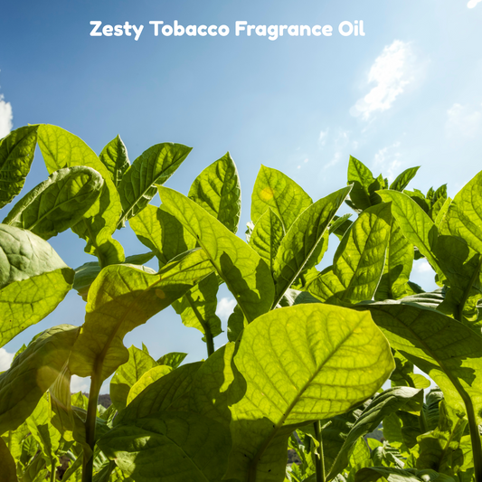 Zesty Tobacco Fragrance Oil